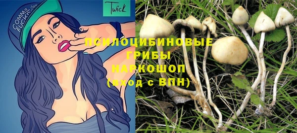 а пвп мука Верхний Тагил